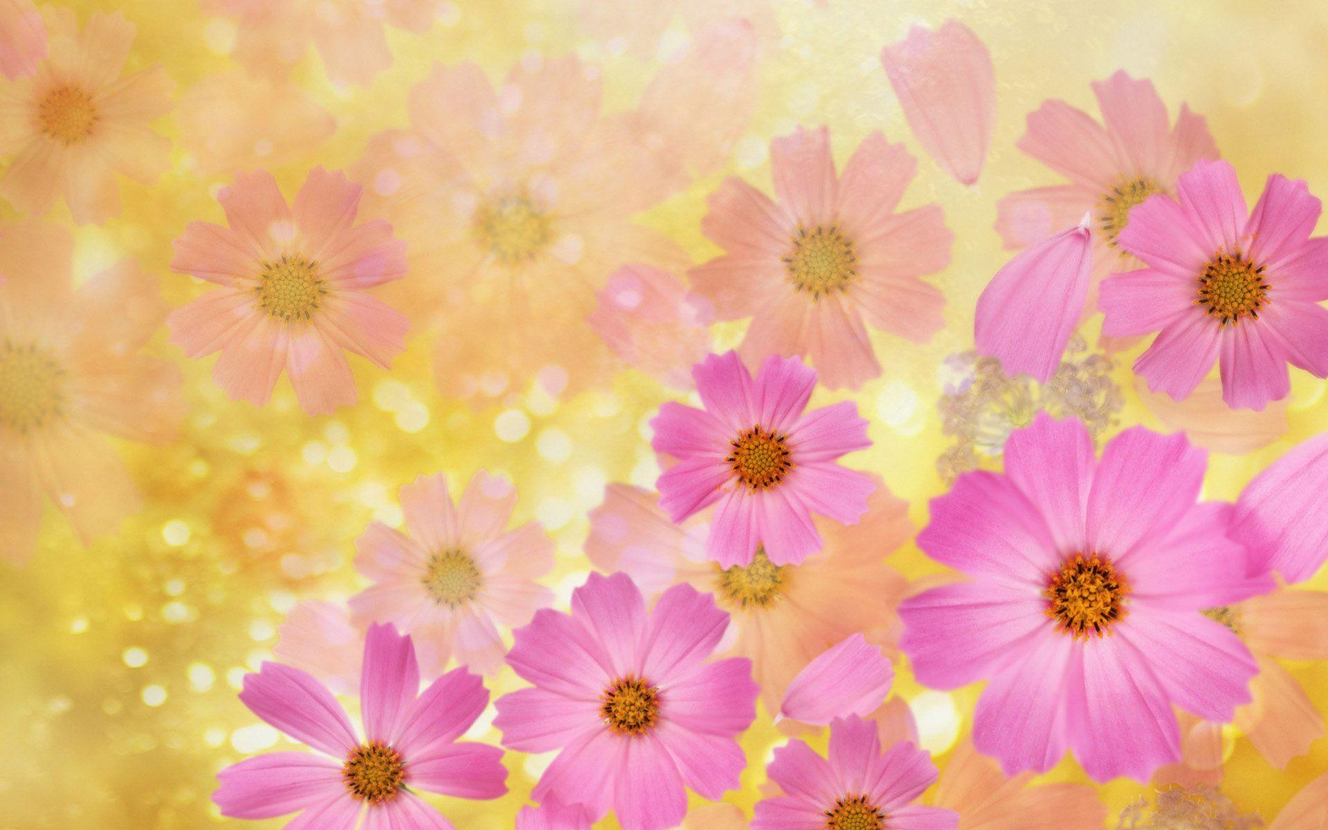 93027 watercolor forest peel and stick wallpaper removable white/pink/navy/yellow floral vinyl . Sugldxchrlhnfm