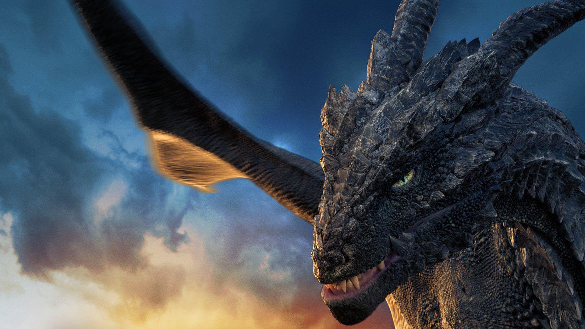 No program windows block it from view. Dragonheart Wallpapers Top Free Dragonheart Backgrounds Wallpaperaccess
