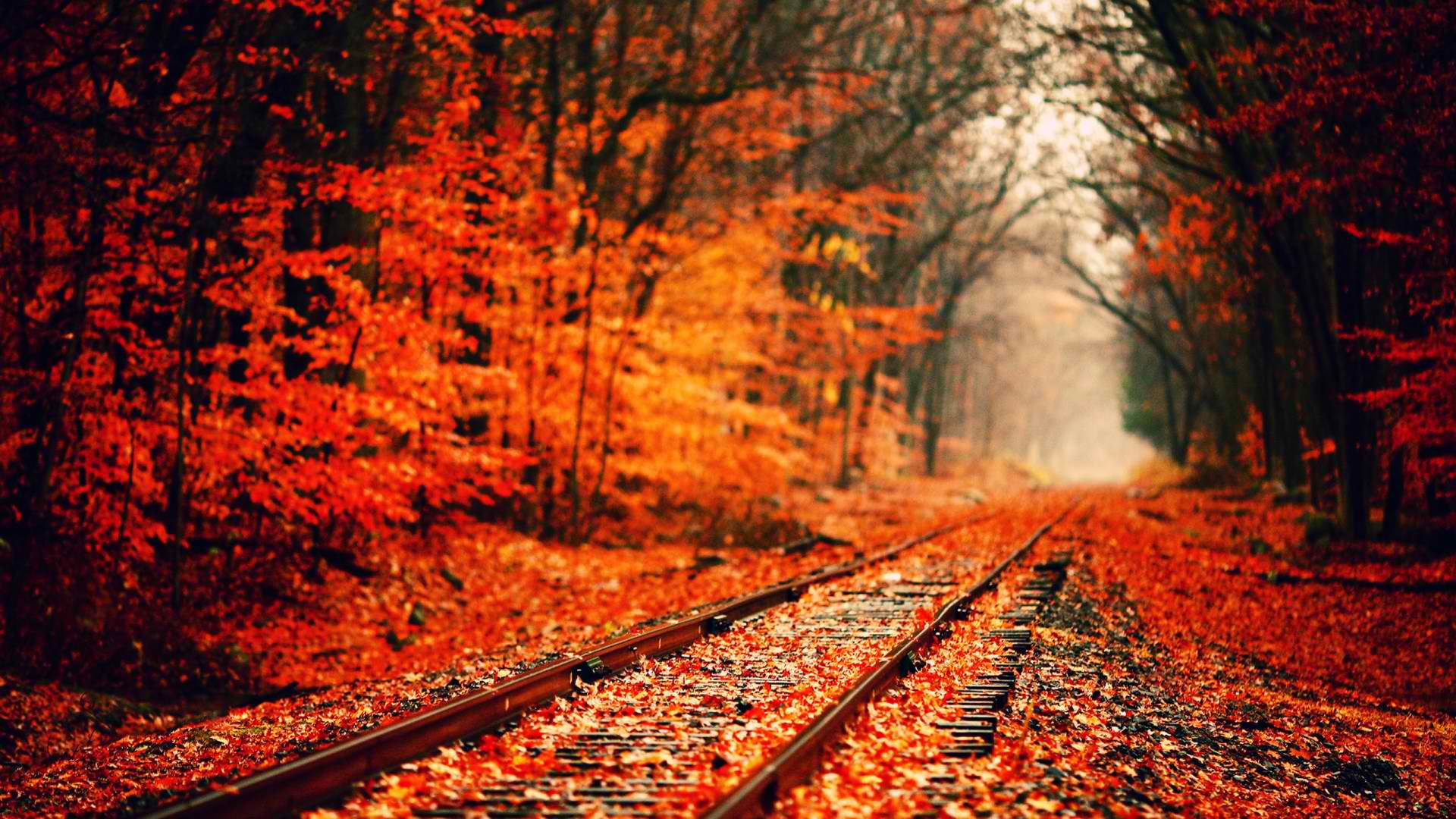 You can also relieve tension by pulling your toes inward, holding for a count of 10 and releasing them, then repeating 10 times. High Resolution Fall Wallpapers Top Free High Resolution Fall Backgrounds Wallpaperaccess