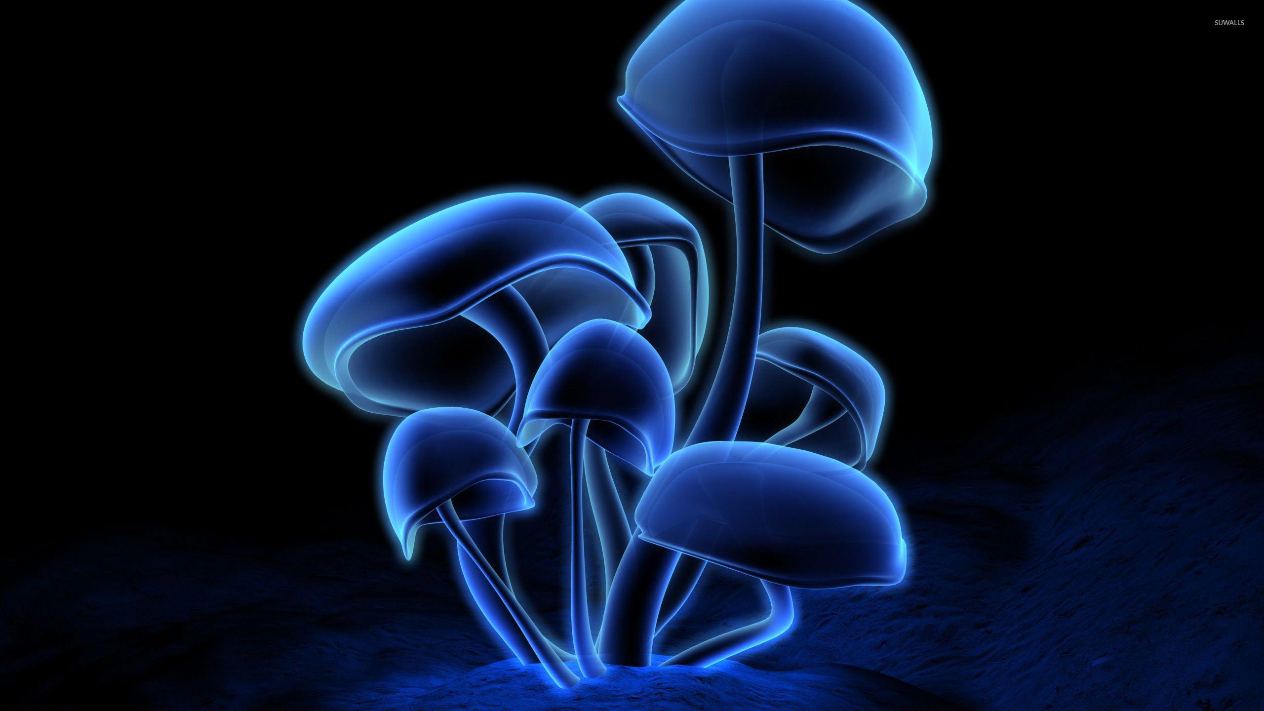 Download and discover more similar hd . Mushrooms Wallpapers Top Free Mushrooms Backgrounds Wallpaperaccess