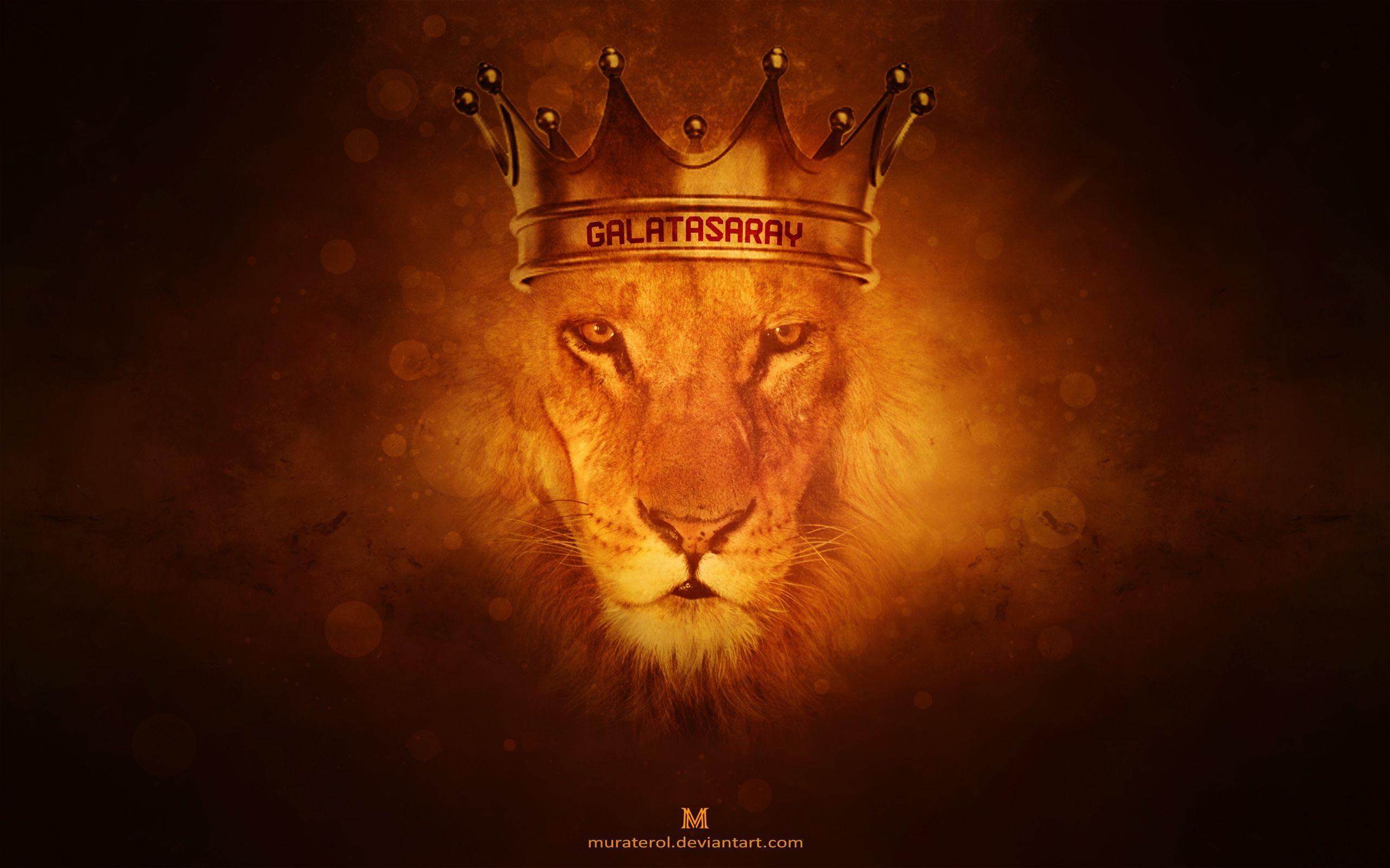 Gold lion wallpapers