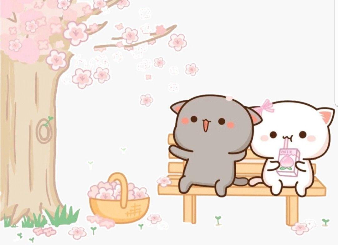 peach and goma wallpapers top free peach and goma on peach cat wallpapers