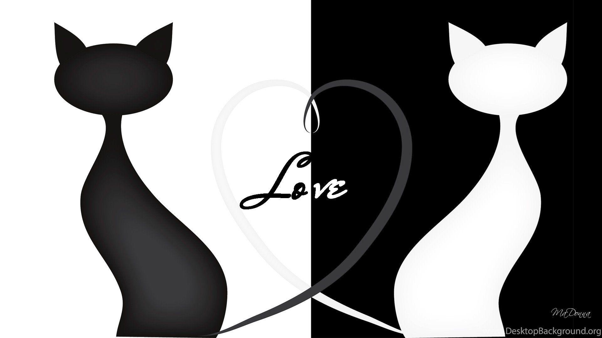 Cat silhouette wallpapers