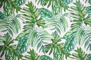 palm leaf leaves tropical wallpapers plant temporary backgrounds dose charm daily leave wall millepied legacy wallpaperaccess easy