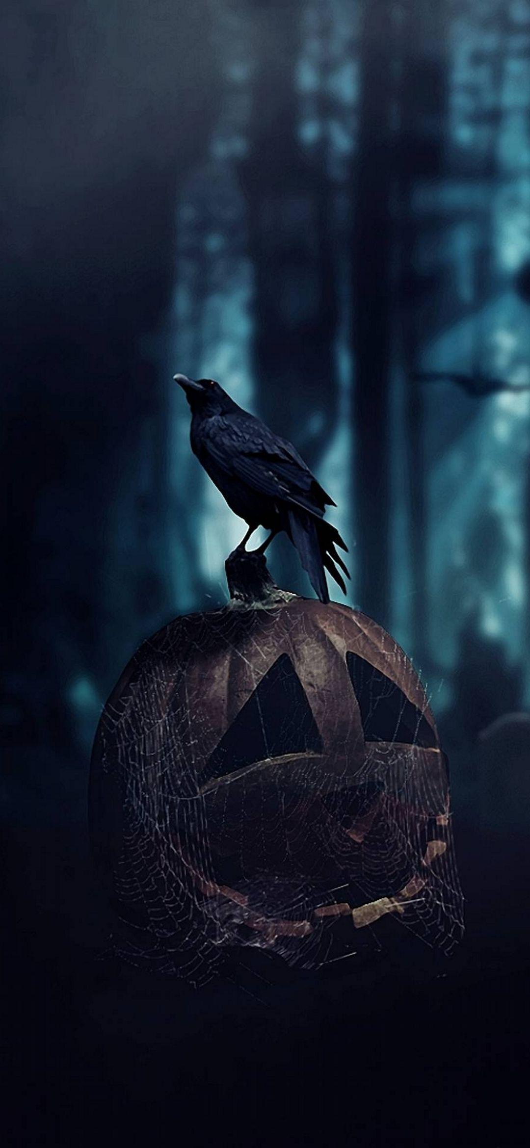 A lovingly curated selection of 118 free hd raven wallpapers and background images. Dark Crow Wallpapers Top Free Dark Crow Backgrounds Wallpaperaccess