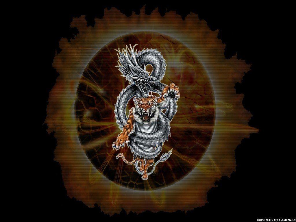 Chinese Dragon And Tiger Wallpapers Top Free Chinese Dragon And Tiger Backgrounds Wallpaperaccess
