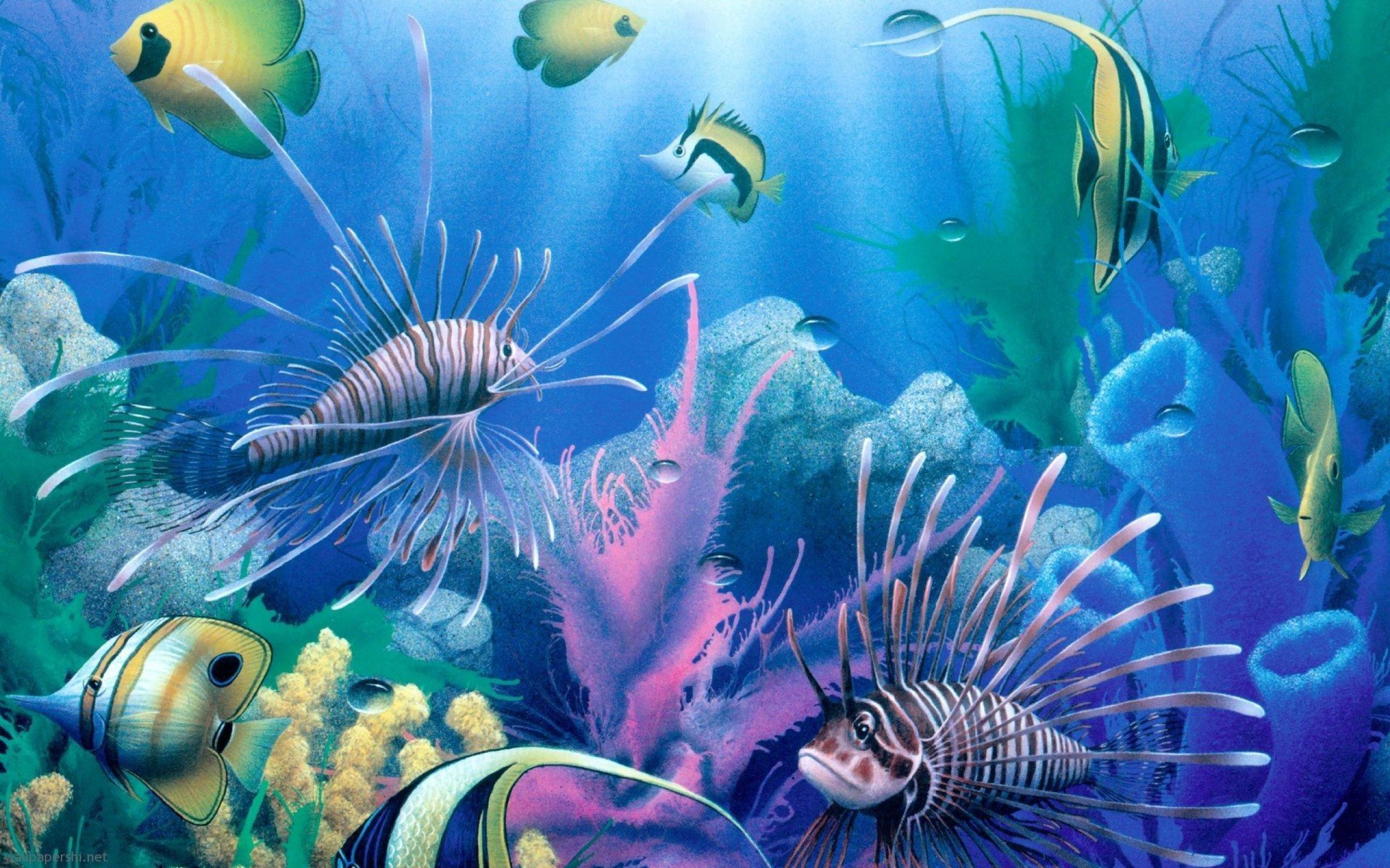 To get them in full size, click on the title or the picture to get to the source. Beautiful Under Sea Wallpapers Top Free Beautiful Under Sea Backgrounds Wallpaperaccess