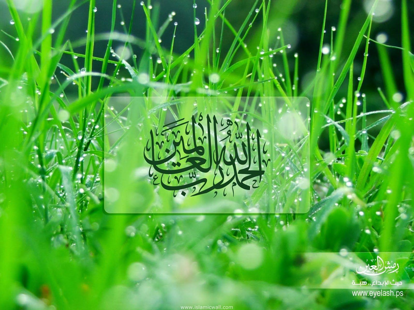 Islamic Nature Wallpapers Top Free Islamic Nature Backgrounds Wallpaperaccess