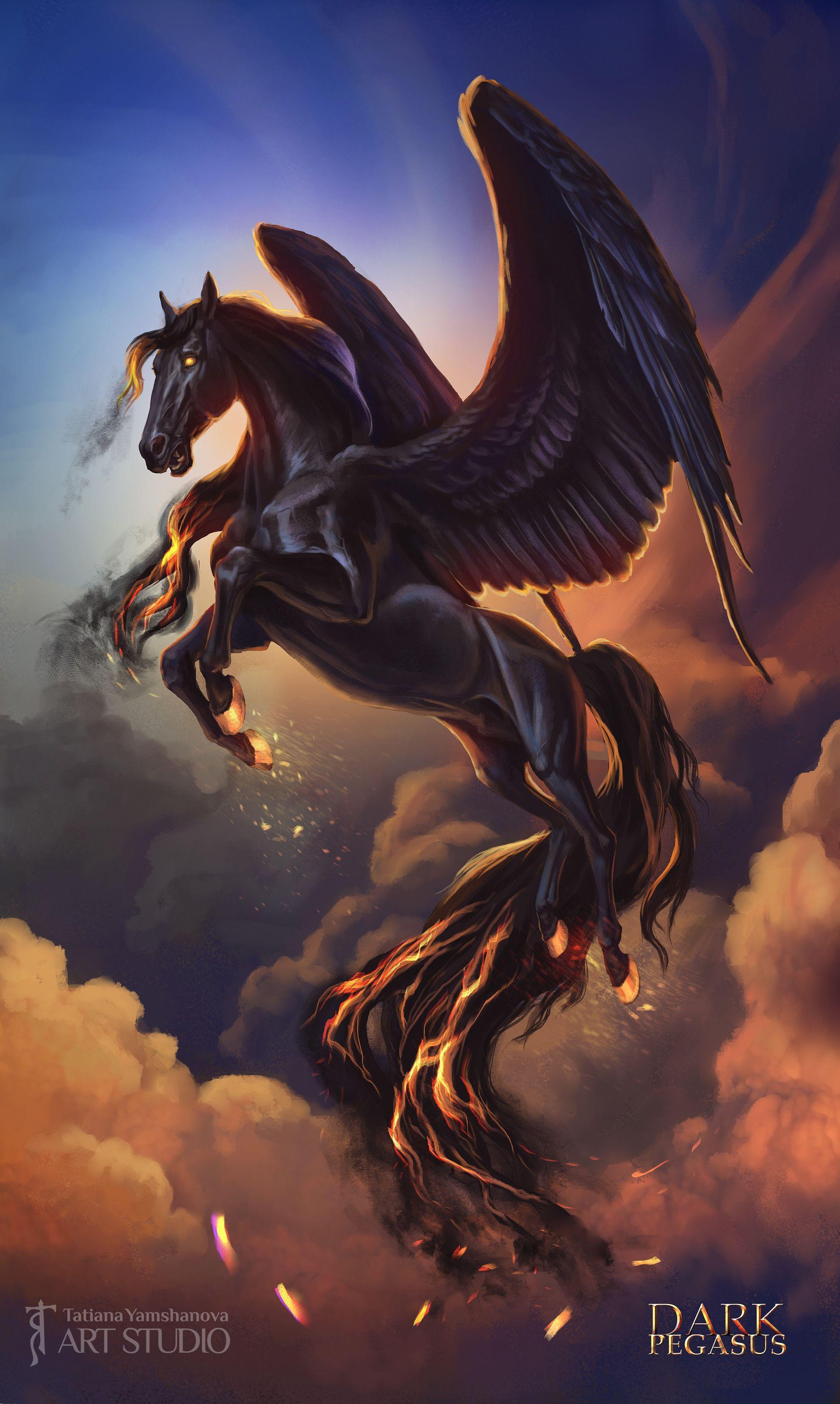 48+ Animal Horse Magical Pegasus Unicorn Wallpaper PNG