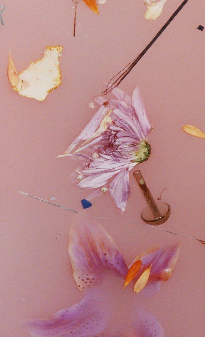 See more ideas about harry styles wallpaper, harry styles aesthetic, harry styles. Harry Styles Flower Wallpapers Top Free Harry Styles Flower Backgrounds Wallpaperaccess