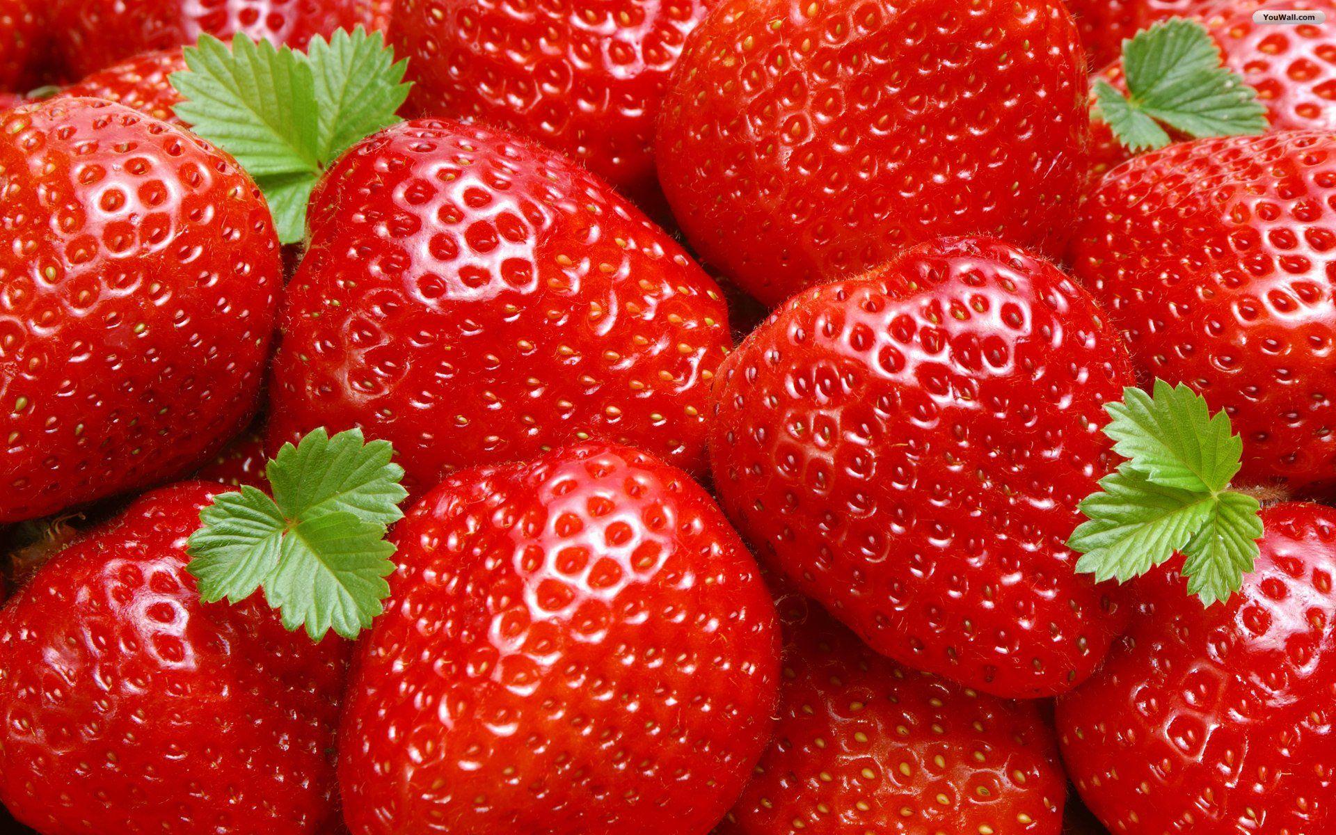 Hd Strawberry Wallpapers Top Free Hd Strawberry Backgrounds