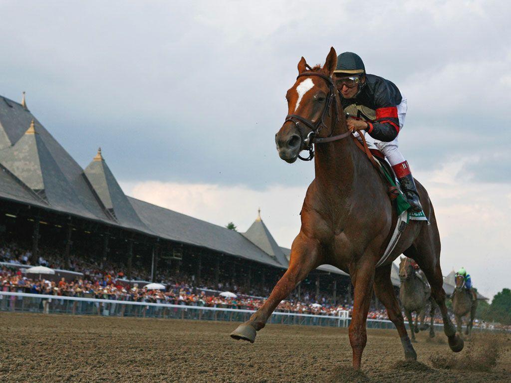 Joseph lyons mound looked to buy one more horse for his family's racing stable. Racehorse Wallpapers Top Free Racehorse Backgrounds Wallpaperaccess