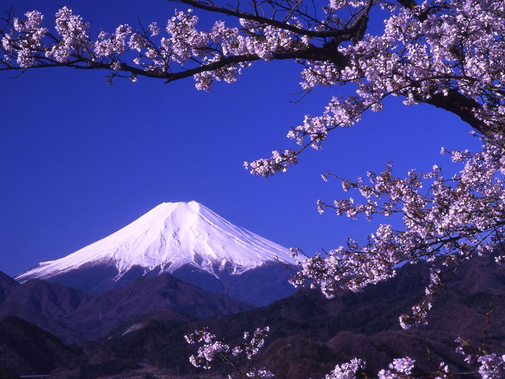 Fuji Mountain Wallpapers - Top Free Fuji Mountain Backgrounds - Wallpaperaccess 768_X_1024_jpg