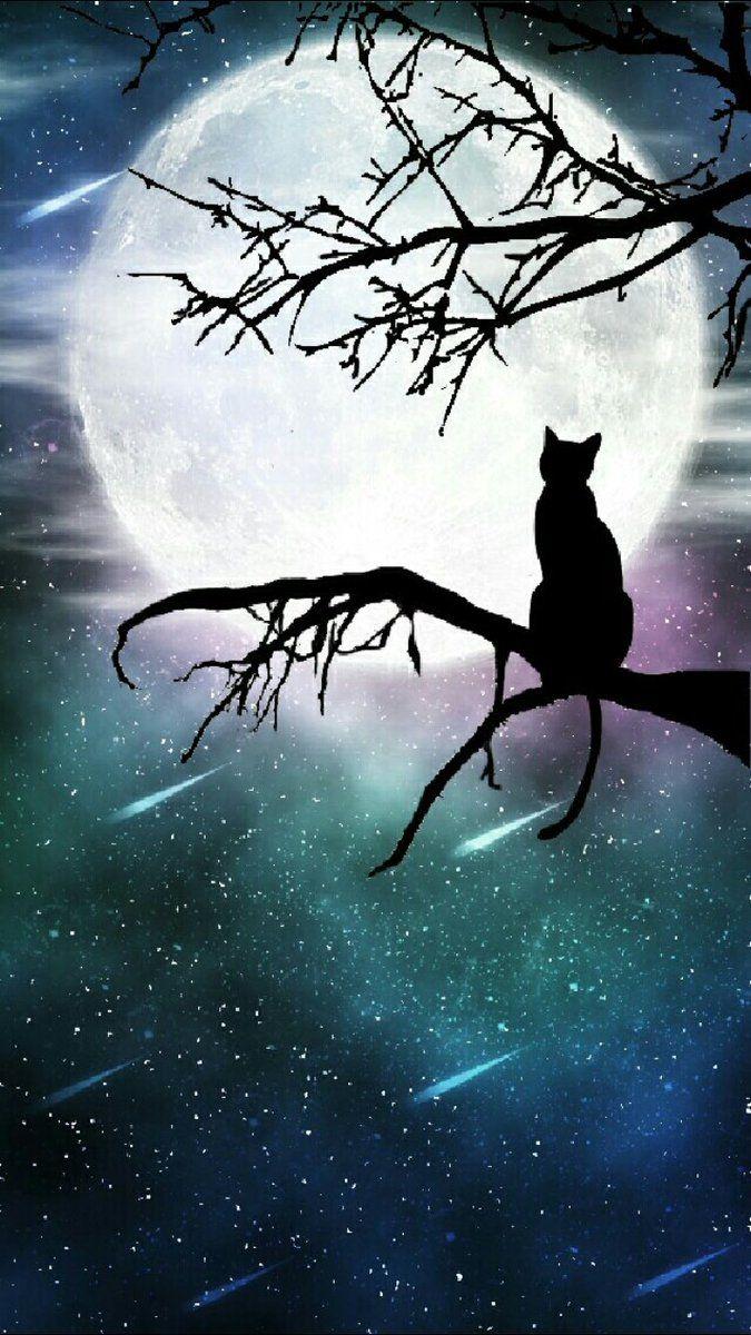 Moon cat wallpapers
