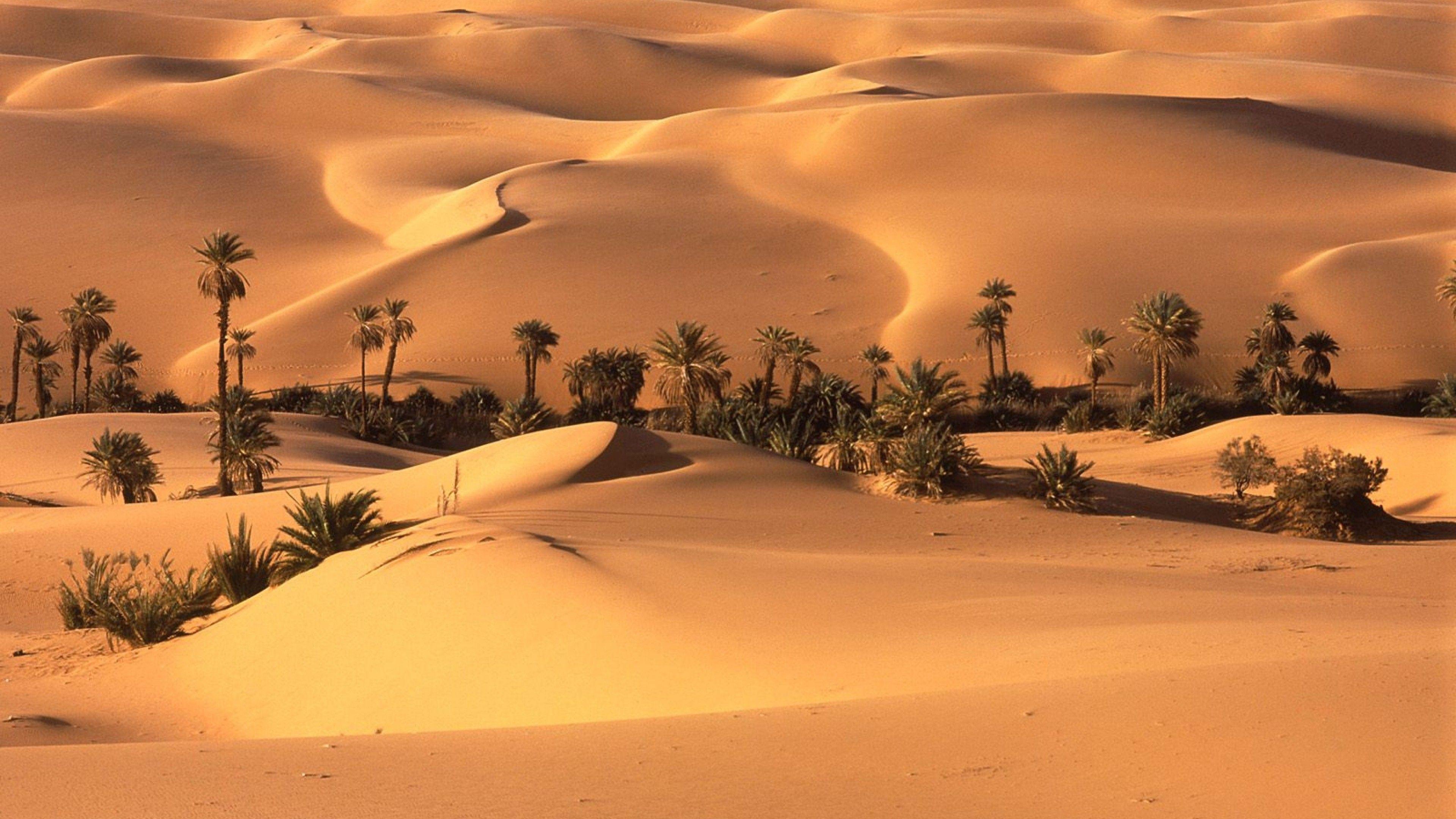 Desert hd wallpapers