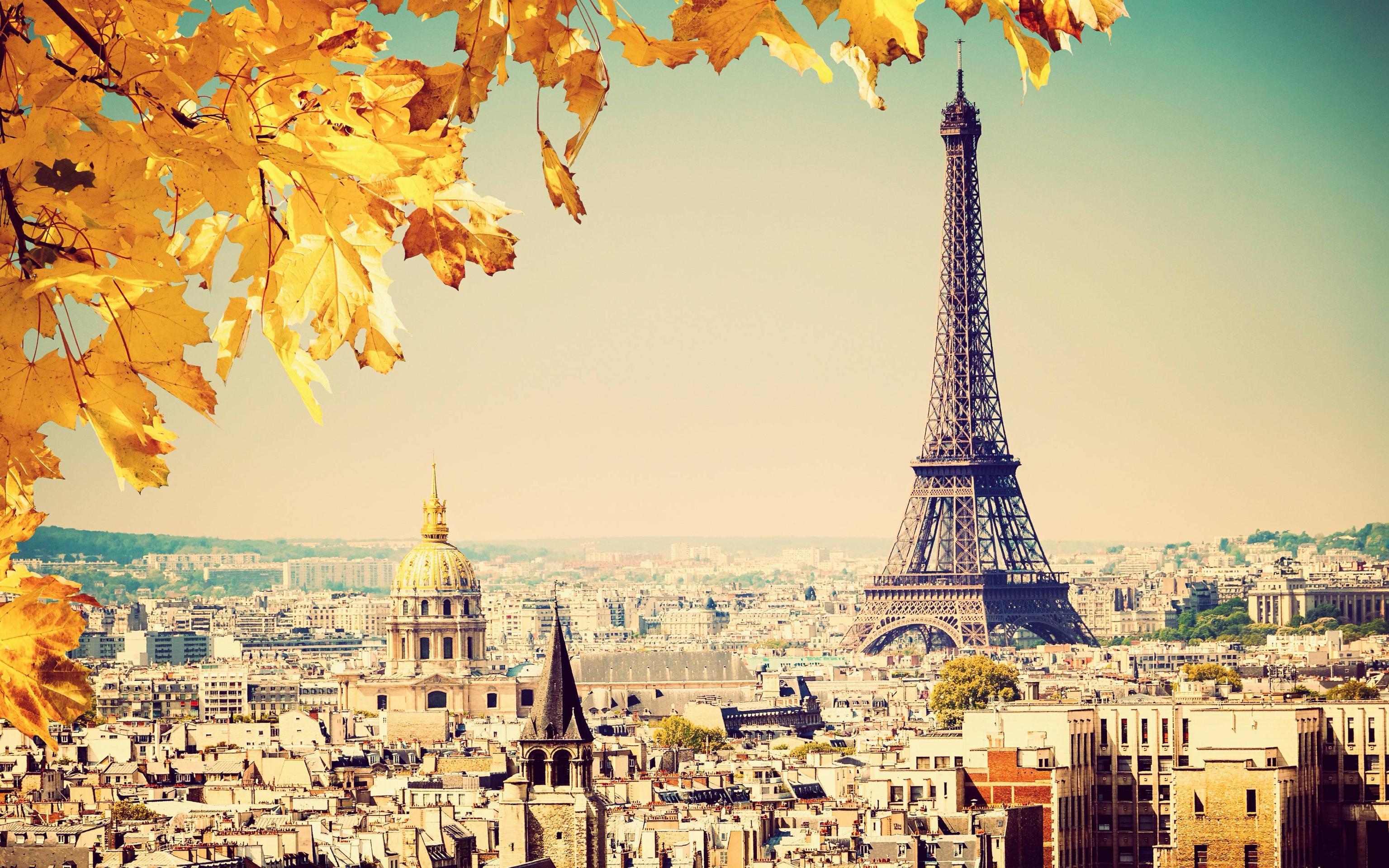 Download Gratis Gambar Hasil Gambar Untuk Menara Eiffel Menara Eiffel Terupdate oleh Lampunghits.com