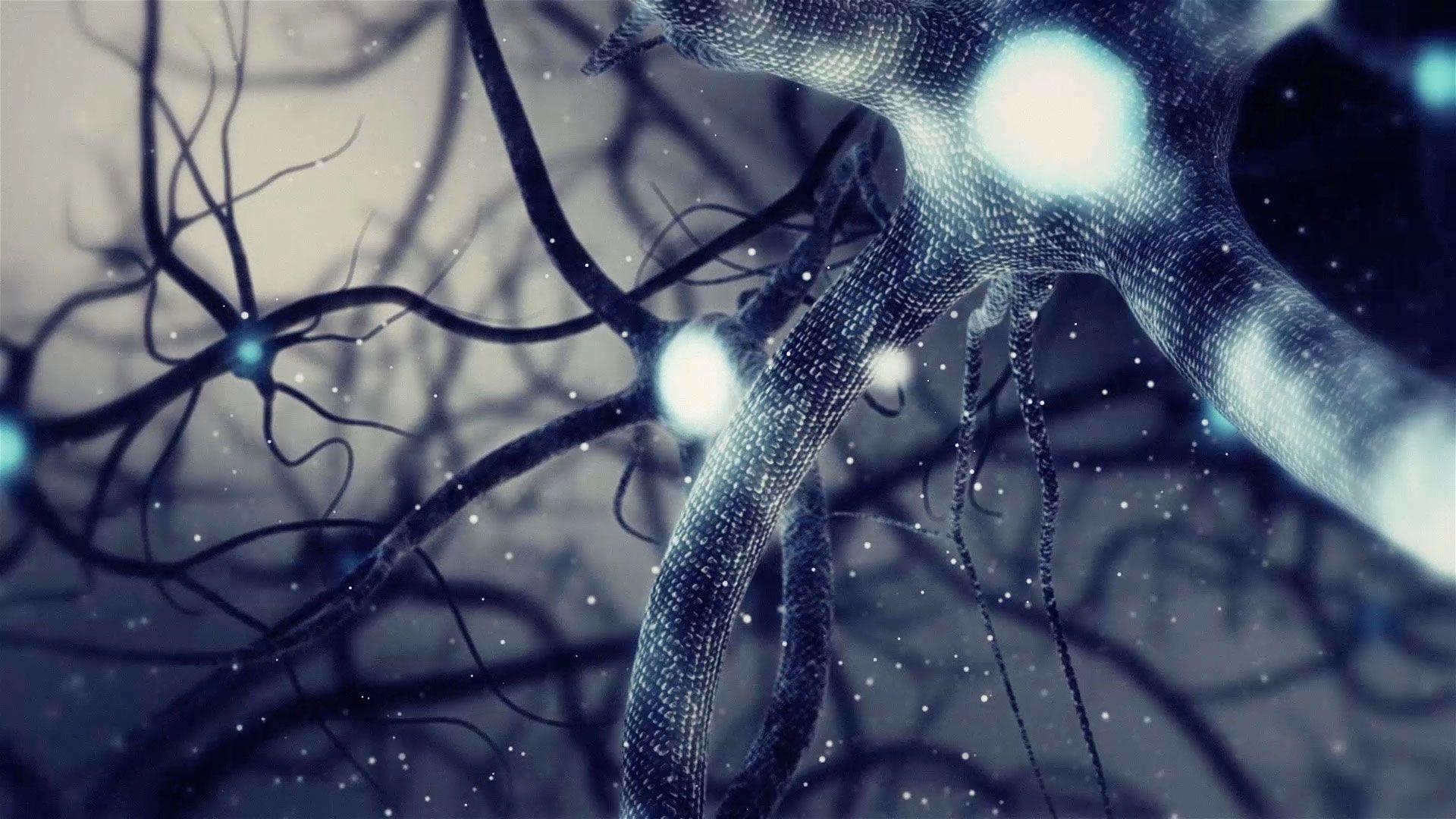 Tons of awesome neurons wallpapers to download for free. Synapse Wallpapers Top Free Synapse Backgrounds Wallpaperaccess