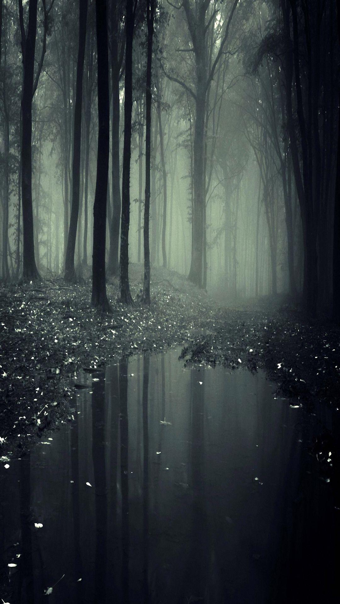 We have a lot of different topics like nature, abstract and a lot more. Dark Rainy Forest Wallpapers Top Free Dark Rainy Forest Backgrounds Wallpaperaccess