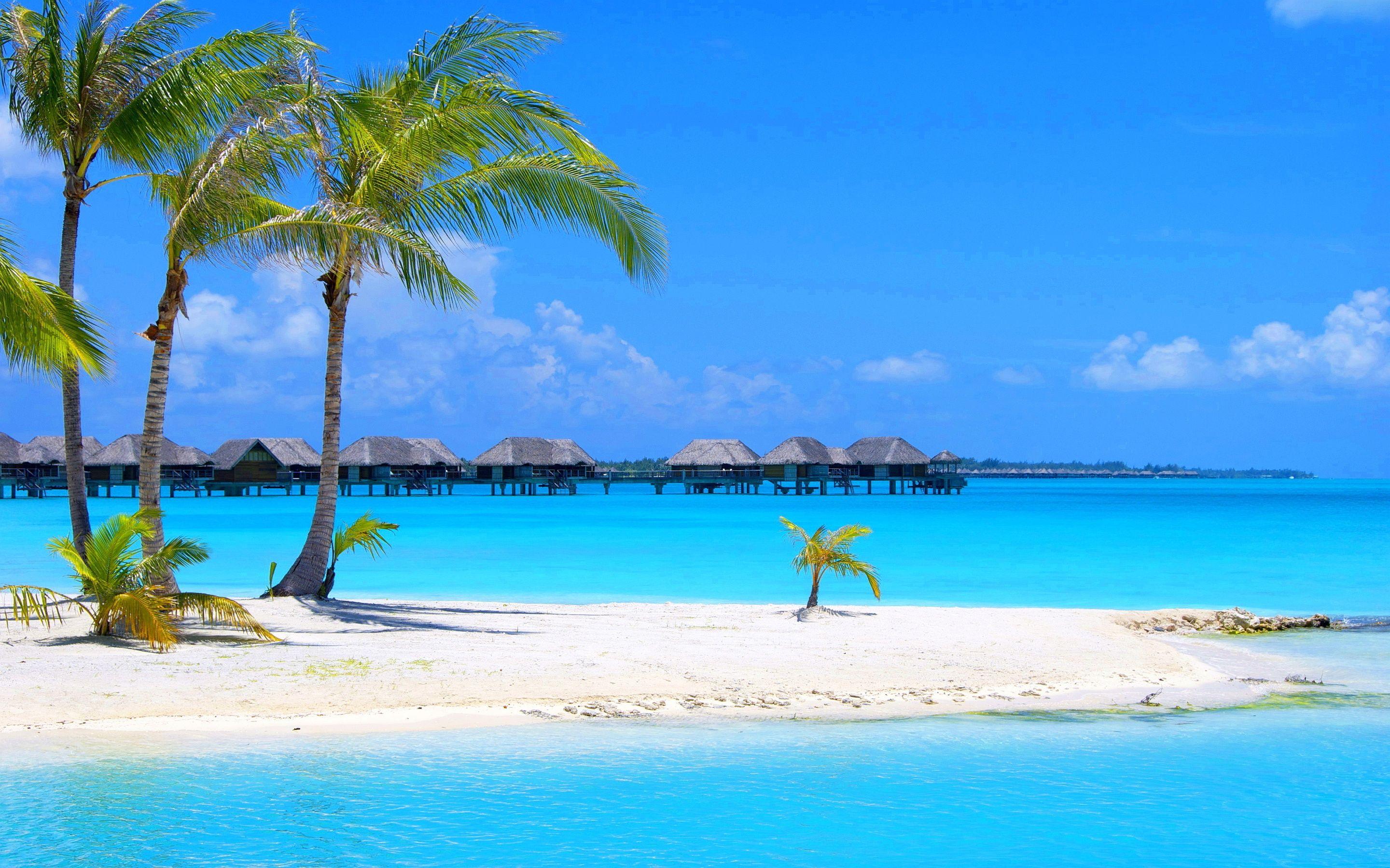 Download and use 200000+ beach background stock photos for free. Hd Beach Wallpapers Top Free Hd Beach Backgrounds Wallpaperaccess