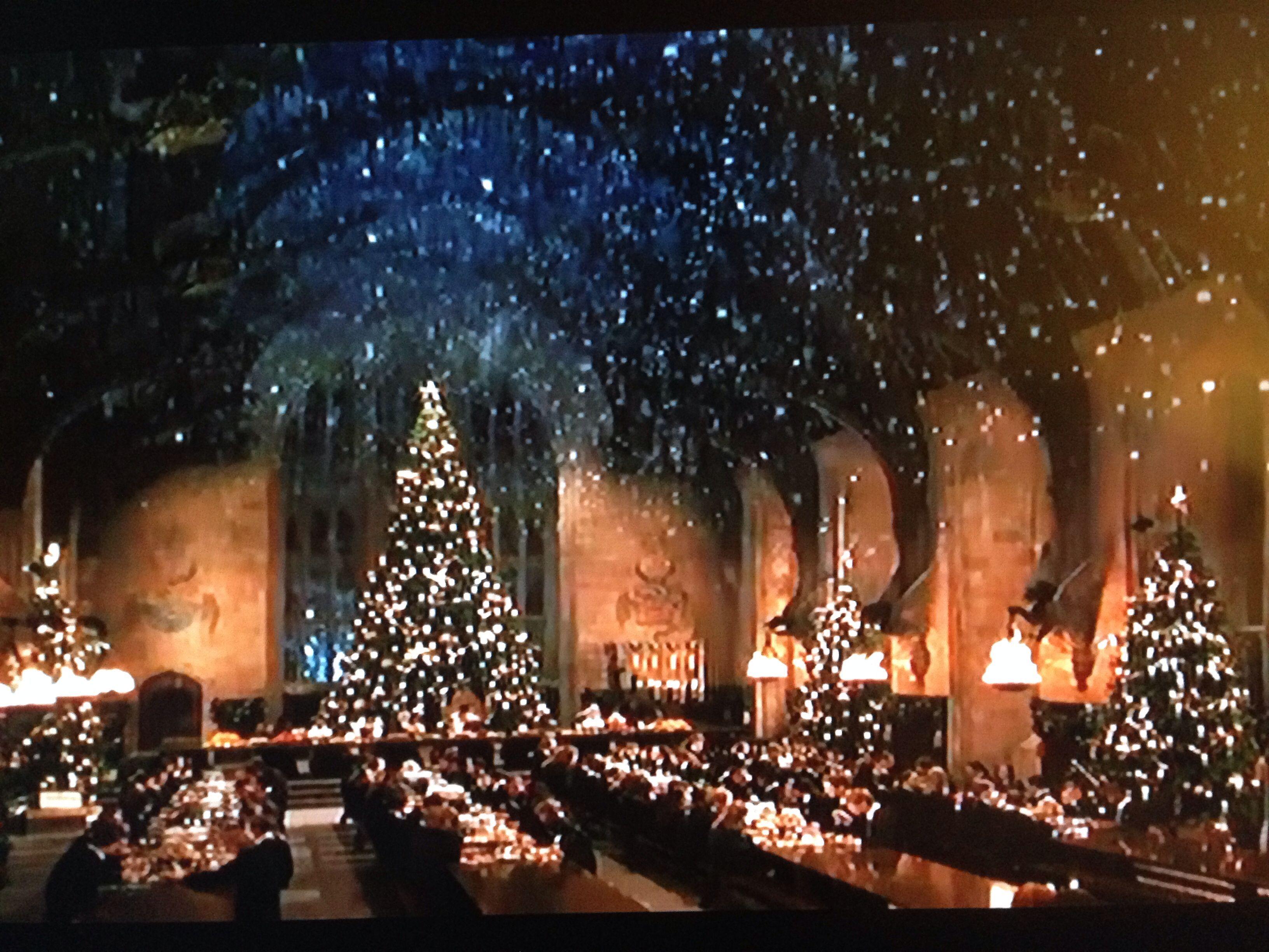 Give your room a virtual makeover with these fun zoom backgrounds. Christmas At Hogwarts Wallpapers Top Free Christmas At Hogwarts Backgrounds Wallpaperaccess