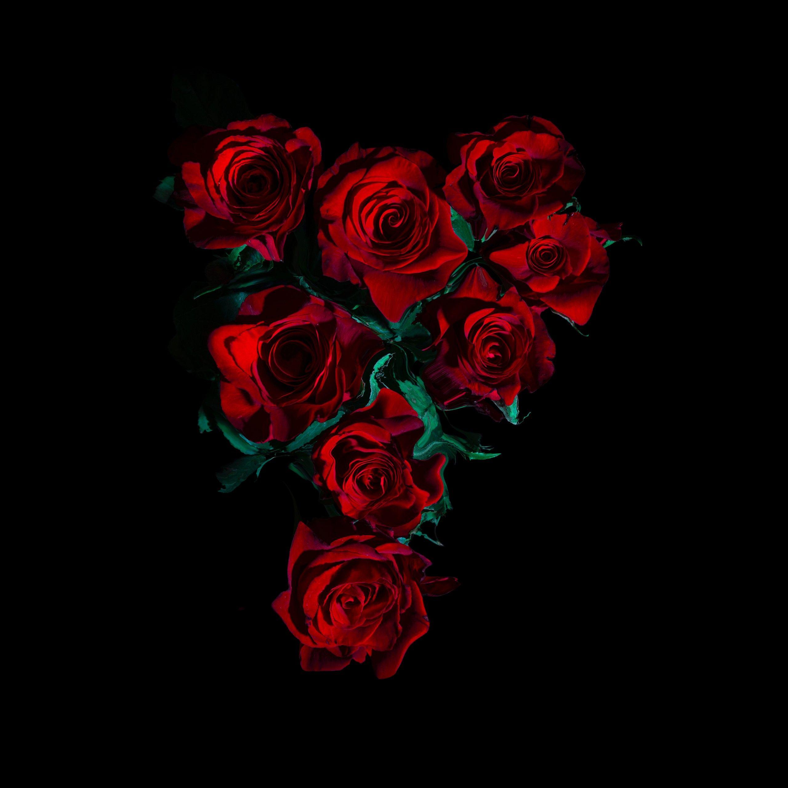 Flower Black Wallpapers - Top Free Flower Black Backgrounds - Wallpaperaccess 2560_x_2560_jpg