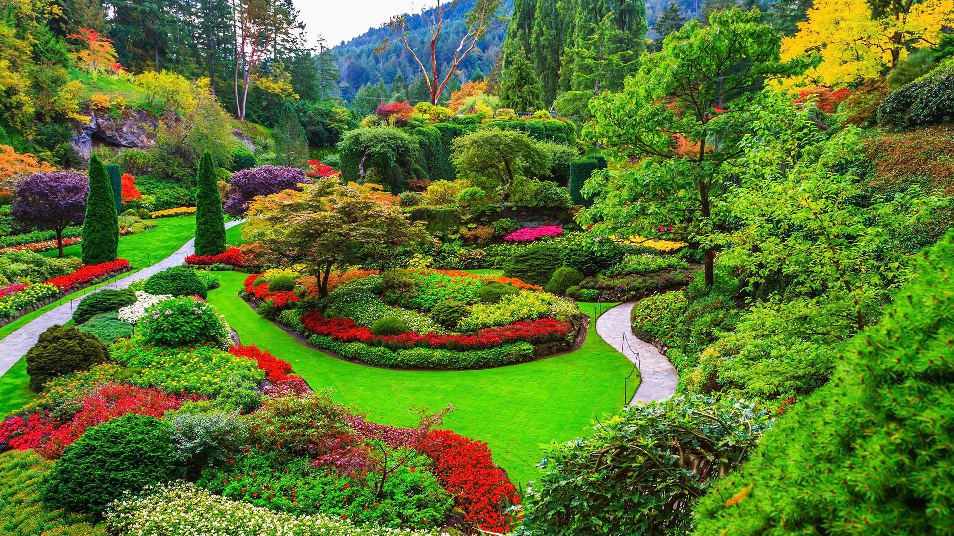 Butchart garden colors, a wallpaper wall mural from magic murals. Butchart Gardens Wallpapers Top Free Butchart Gardens Backgrounds Wallpaperaccess