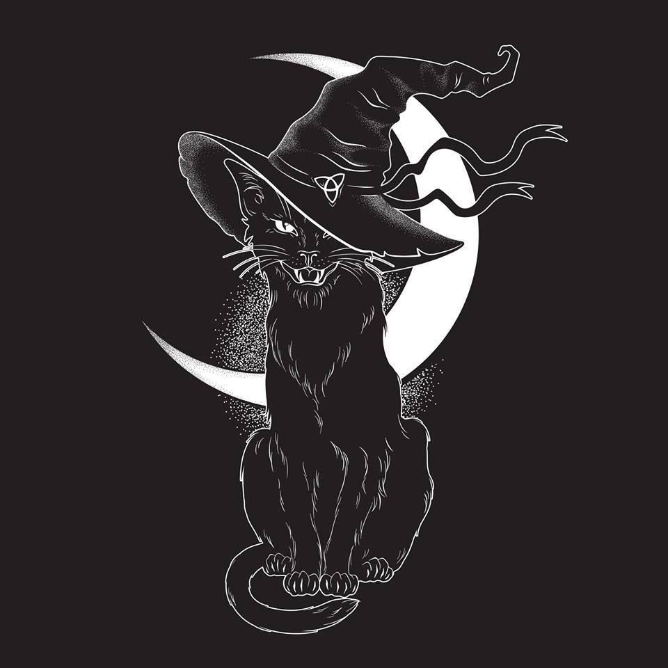 Beautiful Witch Cat Wallpapers - Top Free Beautiful Witch Cat Backgrounds - Wallpaperaccess 960_x_960_jpg