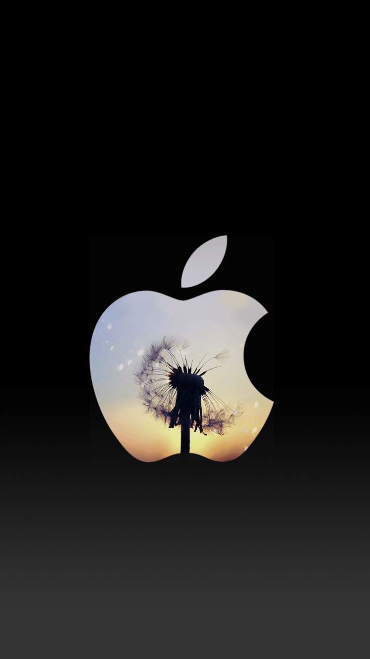 As part of being a fully transparent organization, we wanted to tell you a few things. Cute Apple Logo Wallpapers Top Free Cute Apple Logo Backgrounds Wallpaperaccess