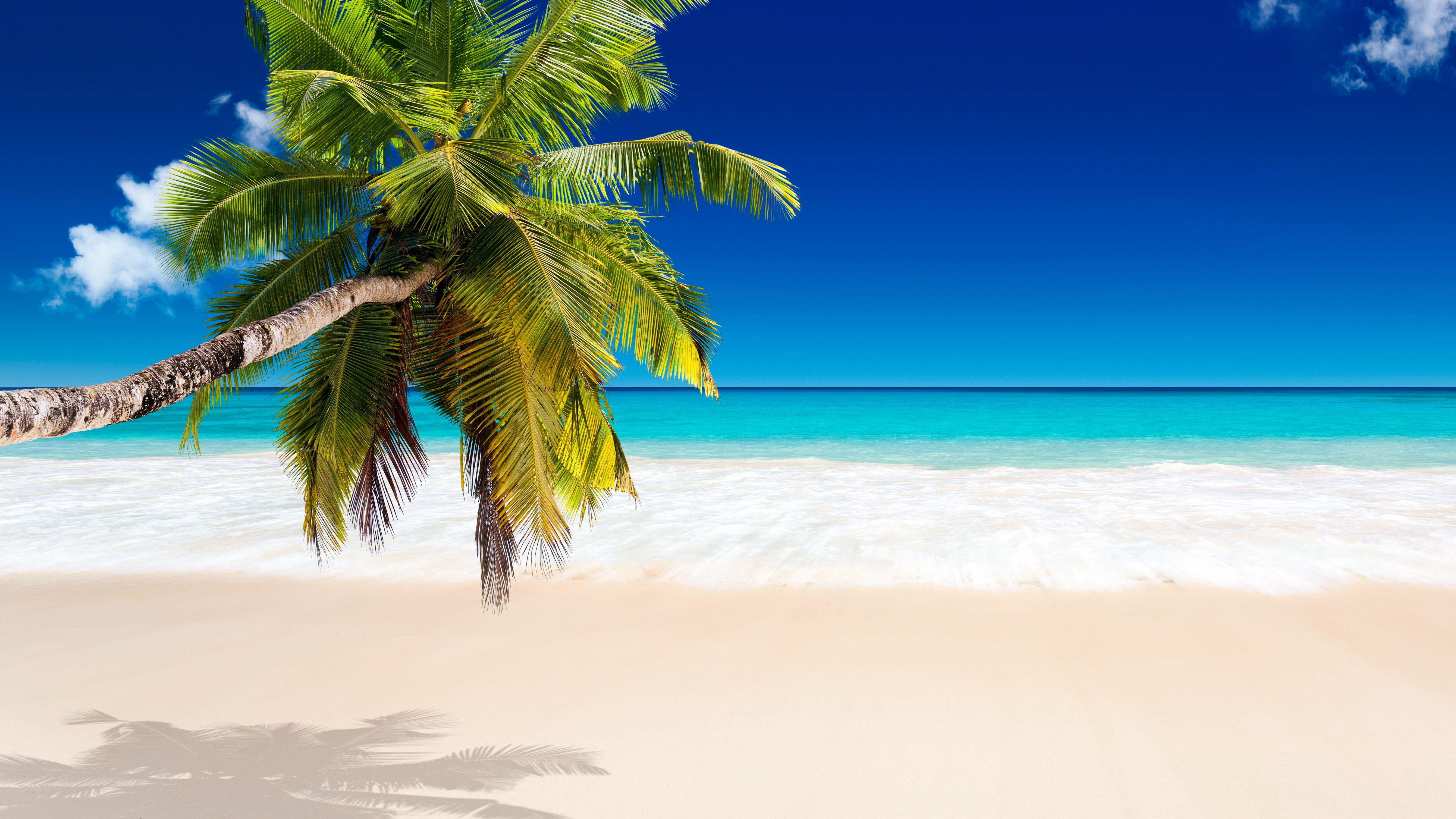 64K Ultra HD Beach Wallpapers - Top Free 64K Ultra HD  