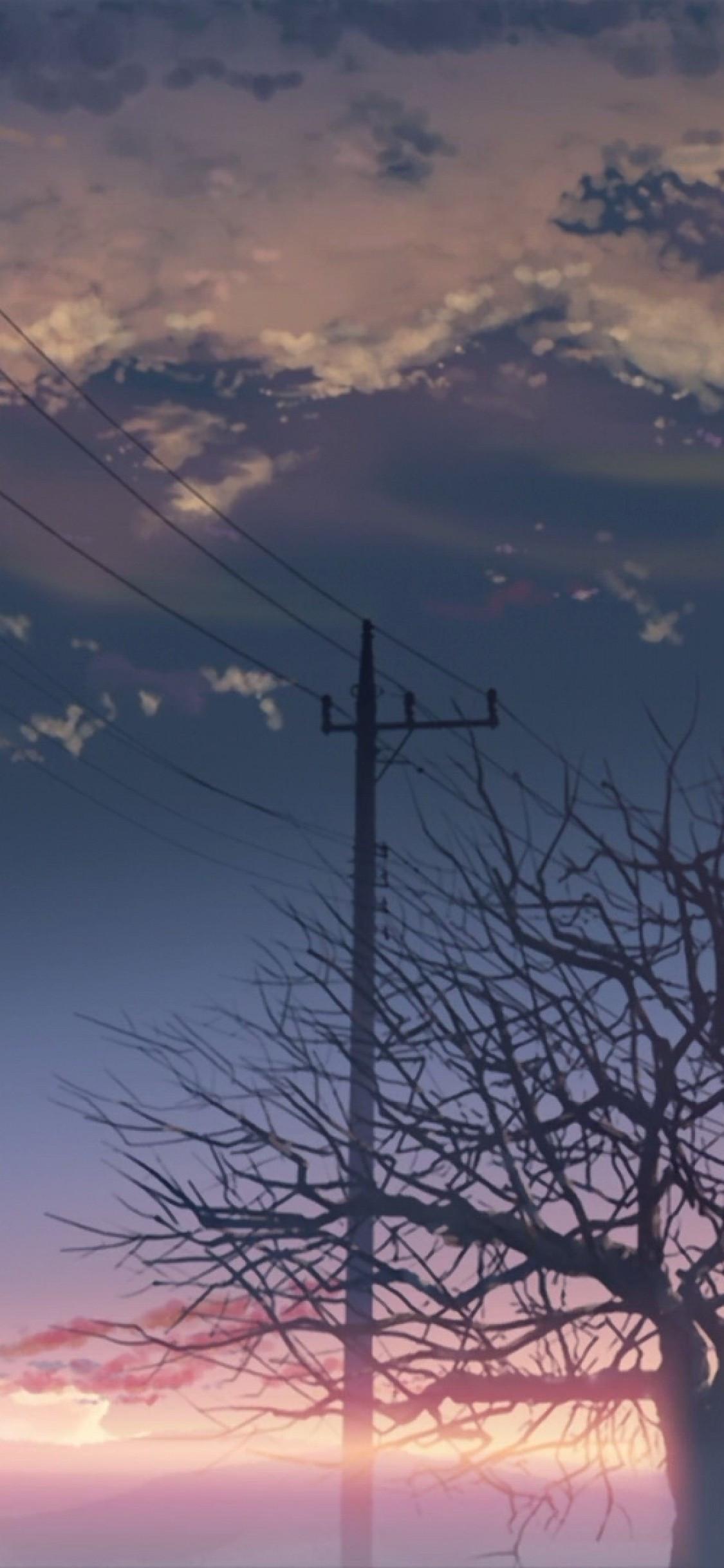 Inside, you will find updates on the most important things happening right now. 5 Centimeters Per Second Iphone Wallpapers Top Free 5 Centimeters Per Second Iphone Backgrounds Wallpaperaccess