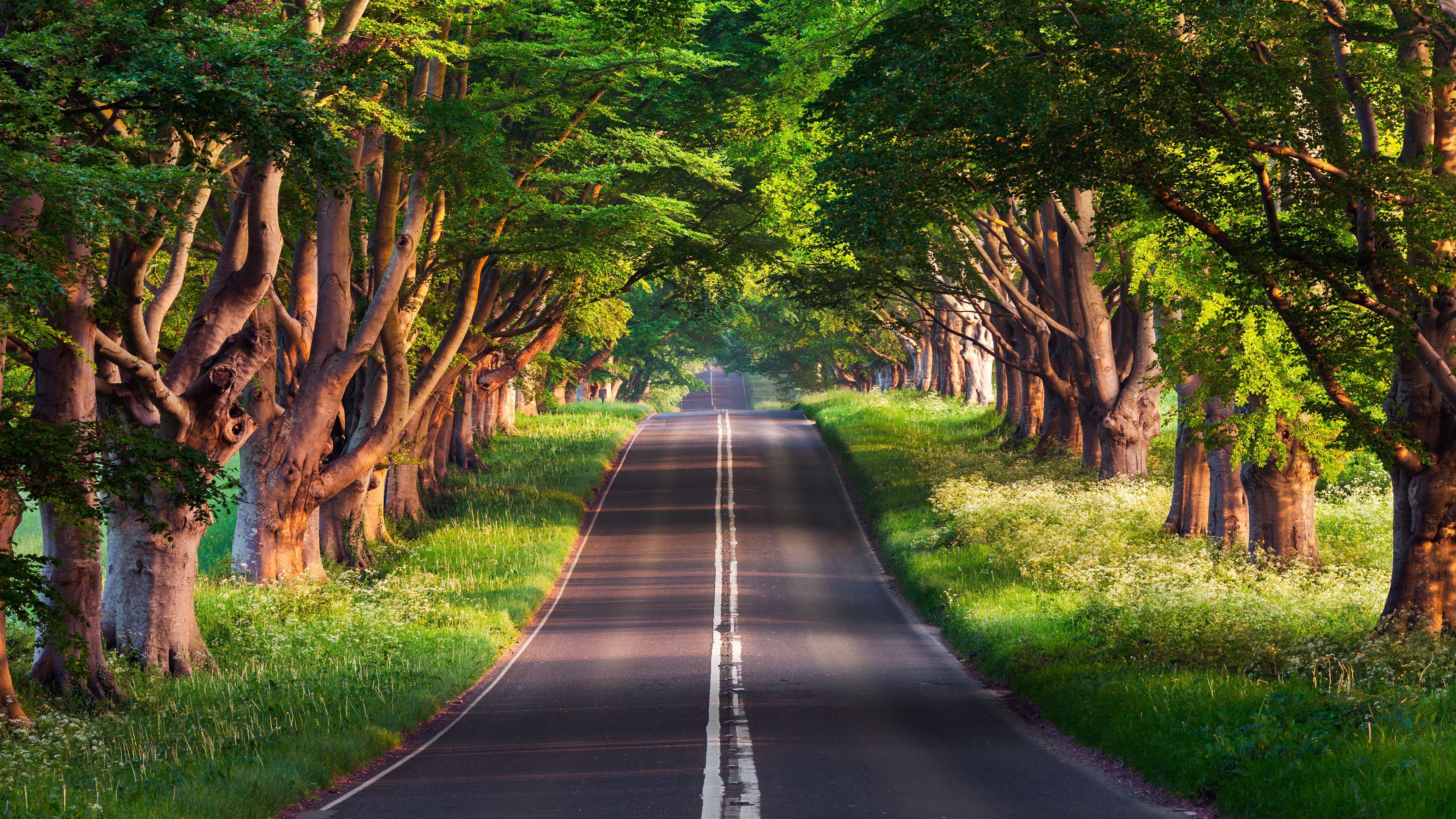 Nature Full Hd Editing Background Wallpaper