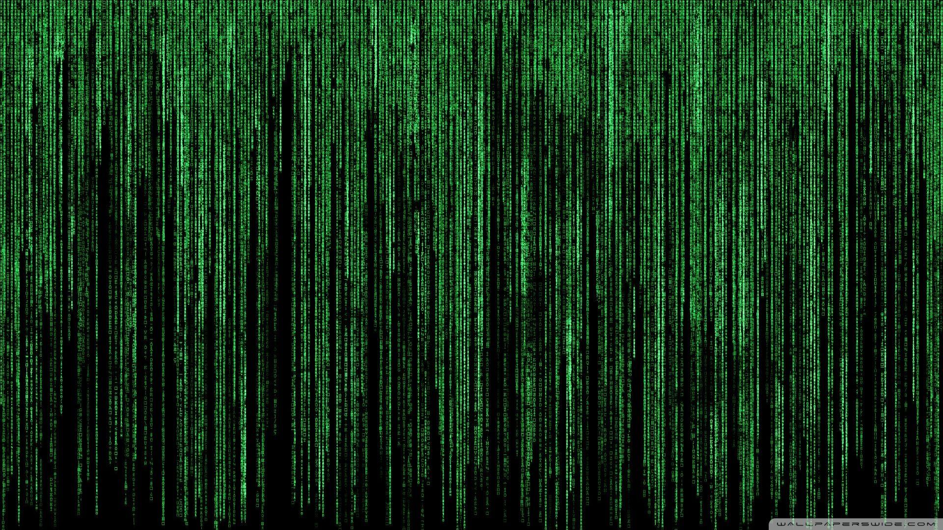 Scarica Gratis immagini 4k Matrix Wallpapers Top Free 4k Matrix Backgrounds ultima da parte di