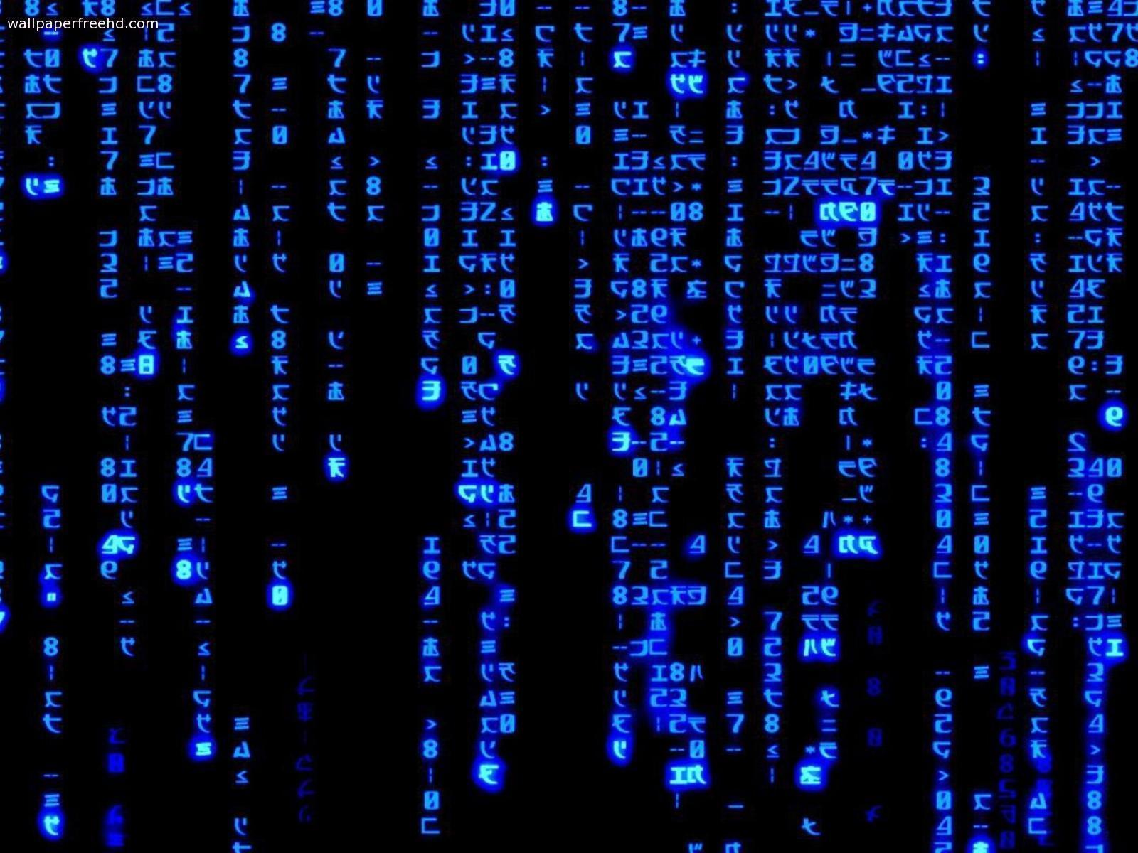 Ottieni immagini 4k Matrix Wallpapers Top Free 4k Matrix Backgrounds aggiornato da parte di