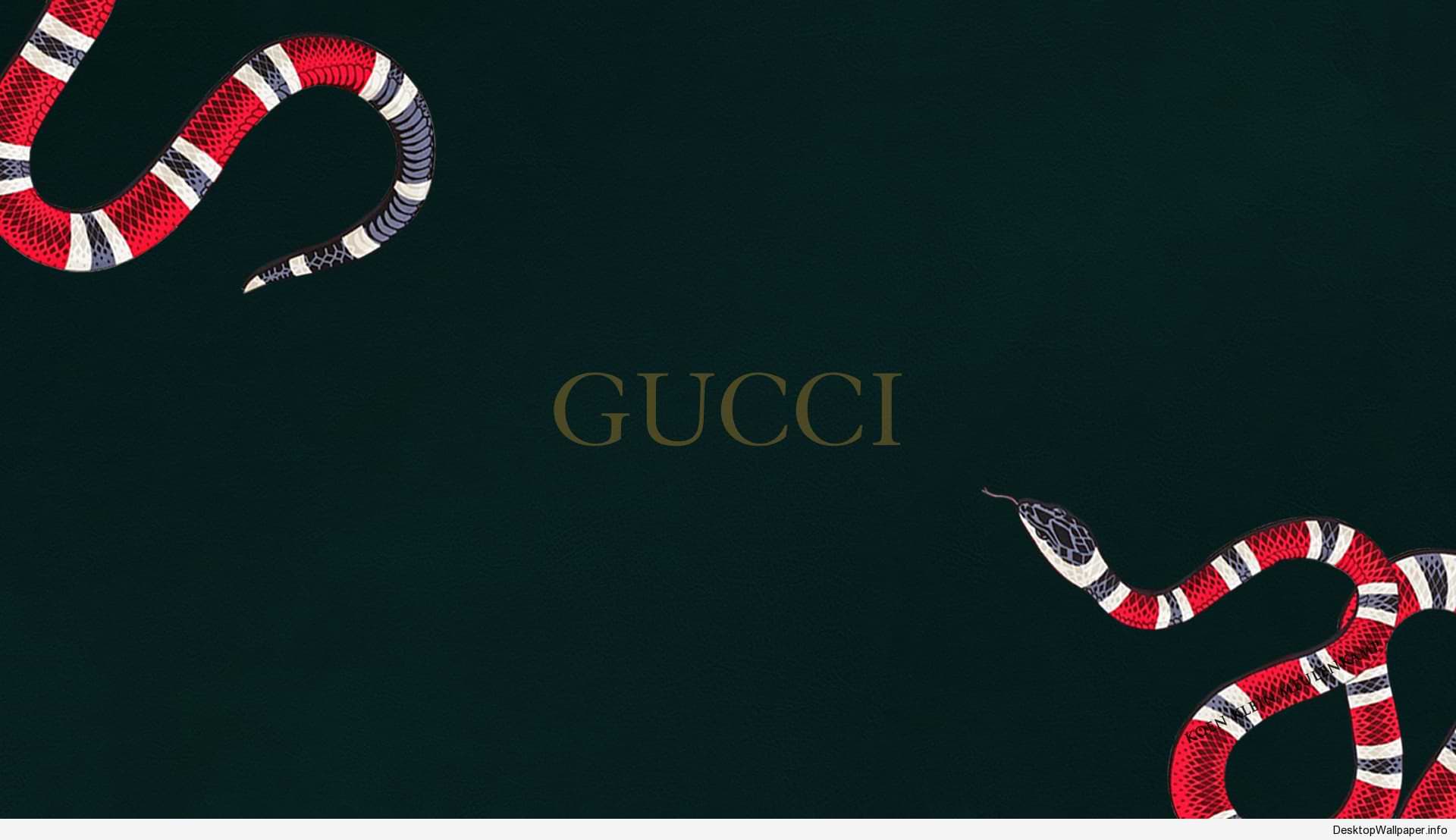 Ottieni immagini Gucci X Supreme Wallpapers Top Free Gucci X Supreme Backgrounds il piu cool saluti