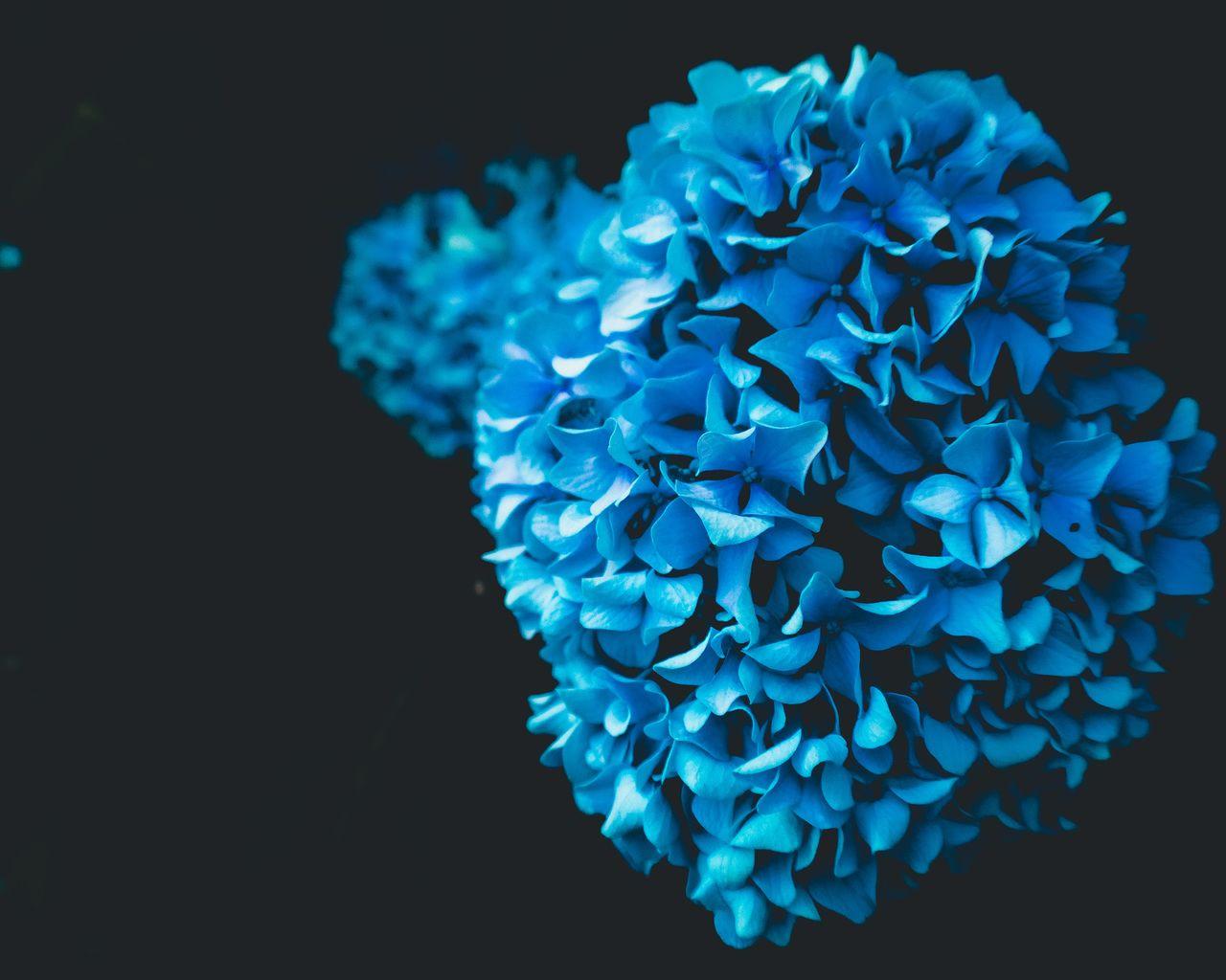 Gratis Scarica immagini Oled 4k Wallpapers Top Free Oled 4k Backgrounds Wallpaperaccess ultima saluti