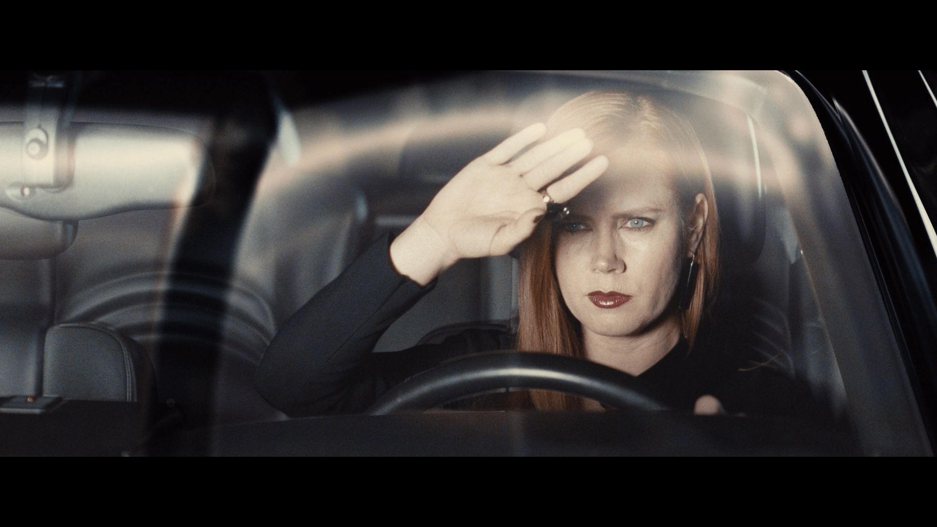 Nocturnal animals wallpapers