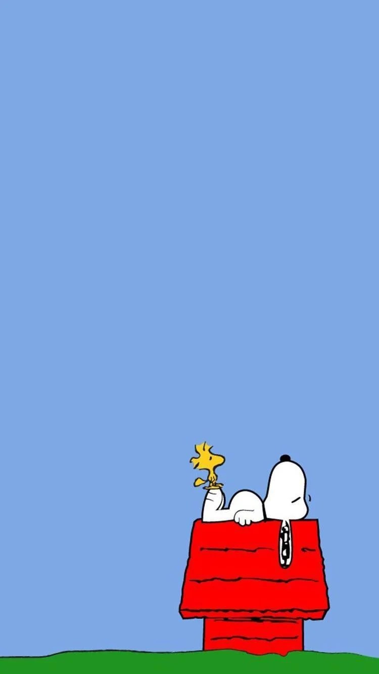 Download Gratuito immagini Snoopy Iphone Wallpapers Top Free Snoopy Iphone Backgrounds ultima saluti
