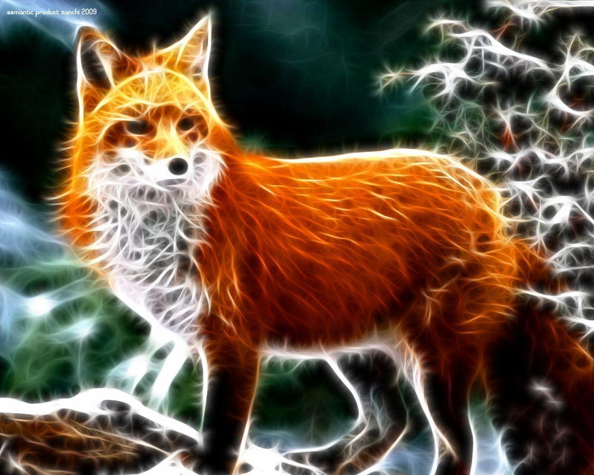 Download for free 75+ cool fox wallpapers. Cool Fox Wallpapers Top Free Cool Fox Backgrounds Wallpaperaccess