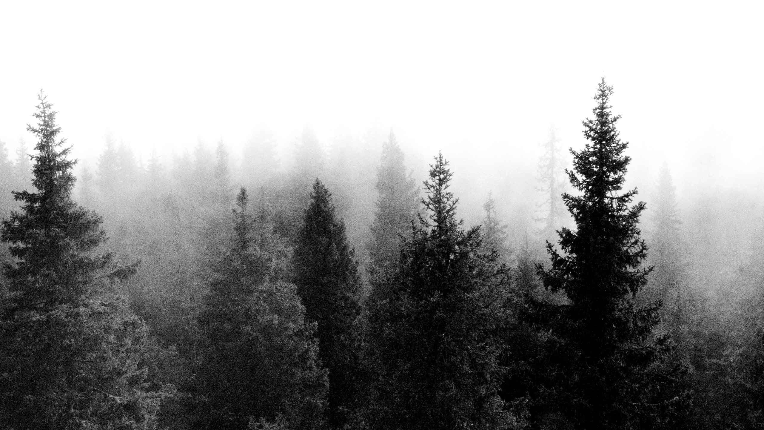 Gratuito Download immagini Tumblr Mac Wallpapers Top Free Tumblr Mac Backgrounds ultima saluti