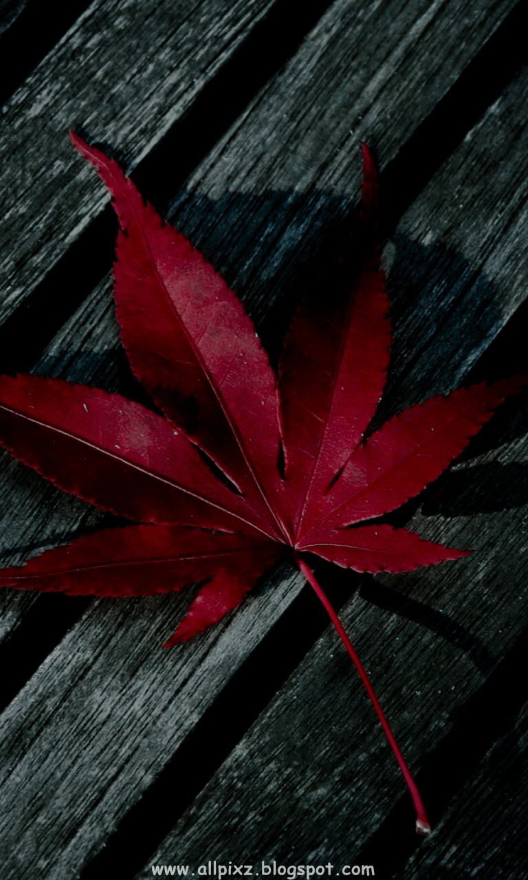 Full Hd Phone Wallpapers Top Free Full Hd Phone Backgrounds Wallpaperaccess