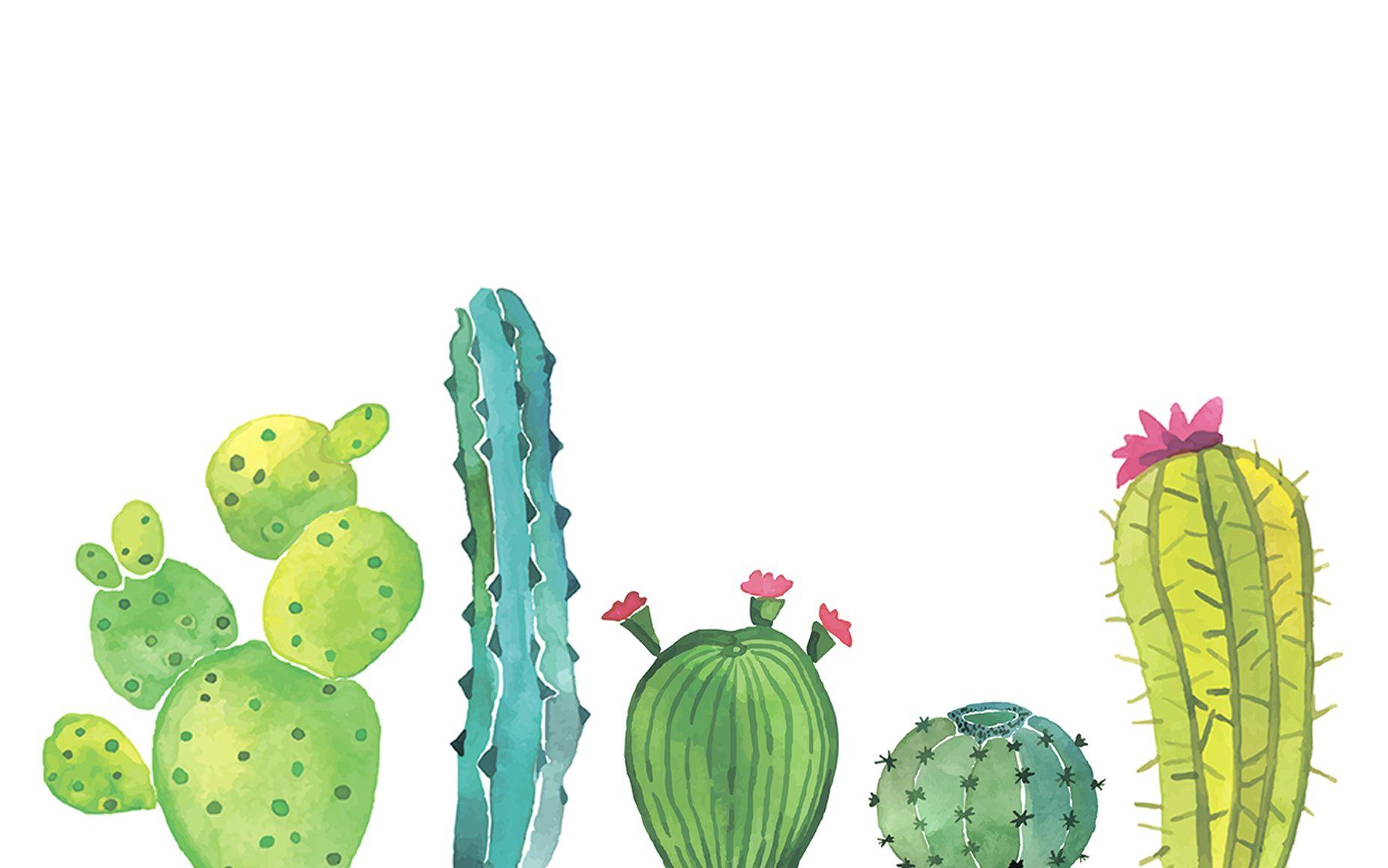 Download for free 70+ cute cactus wallpapers. Cute Cactus Desktop Wallpapers Top Free Cute Cactus Desktop Backgrounds Wallpaperaccess