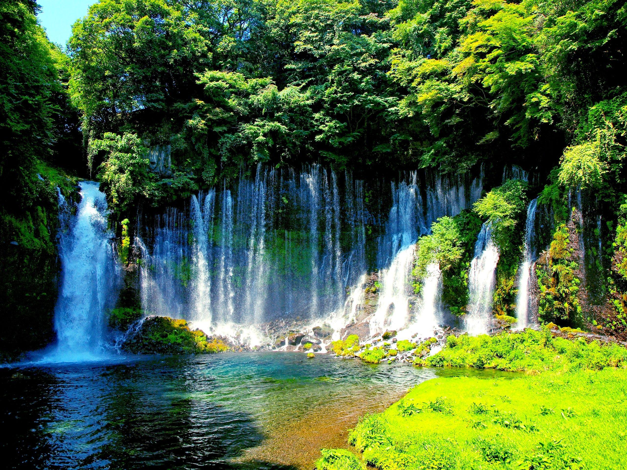 Forest Waterfall Wallpapers - Top Free Forest Waterfall  