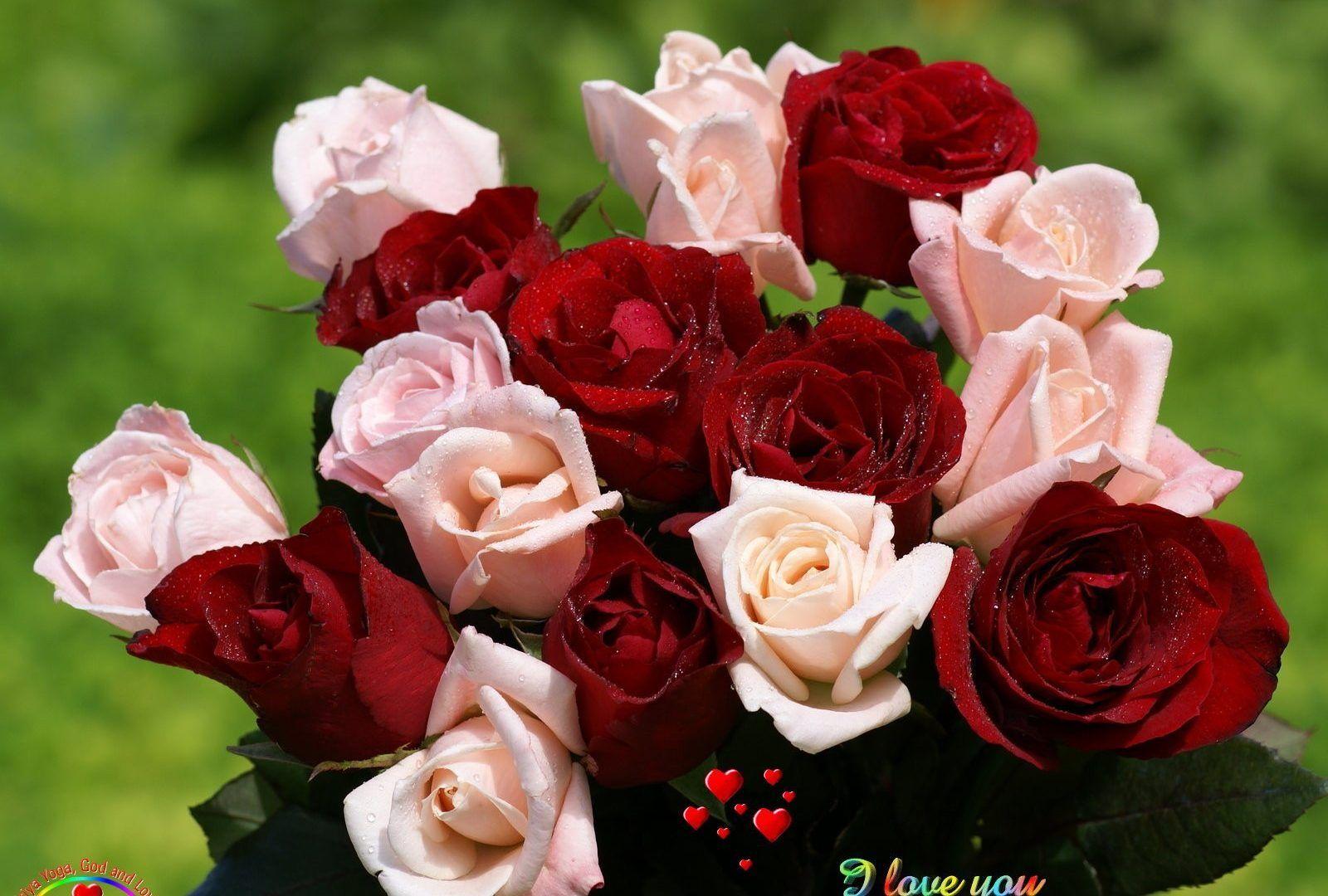 Love flower wallpapers