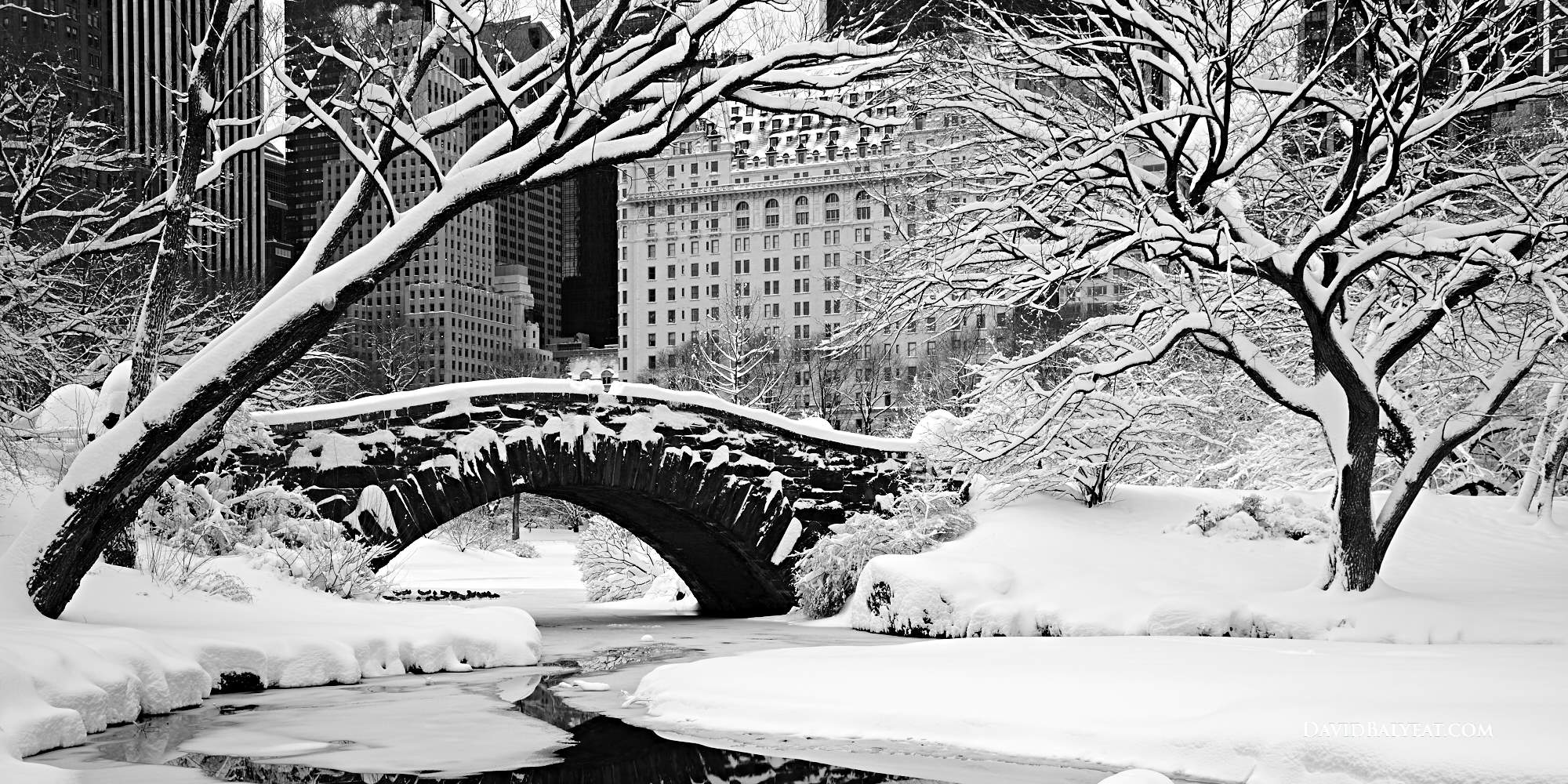 Winter in Central Park New York Wallpapers - Top Free  