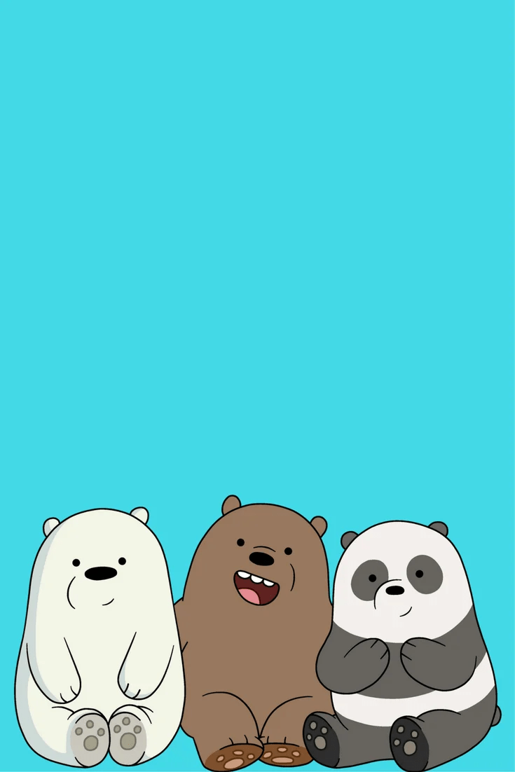 We Bare Bears Wallpapers Top Free We Bare Bears Backgrounds Wallpaperaccess
