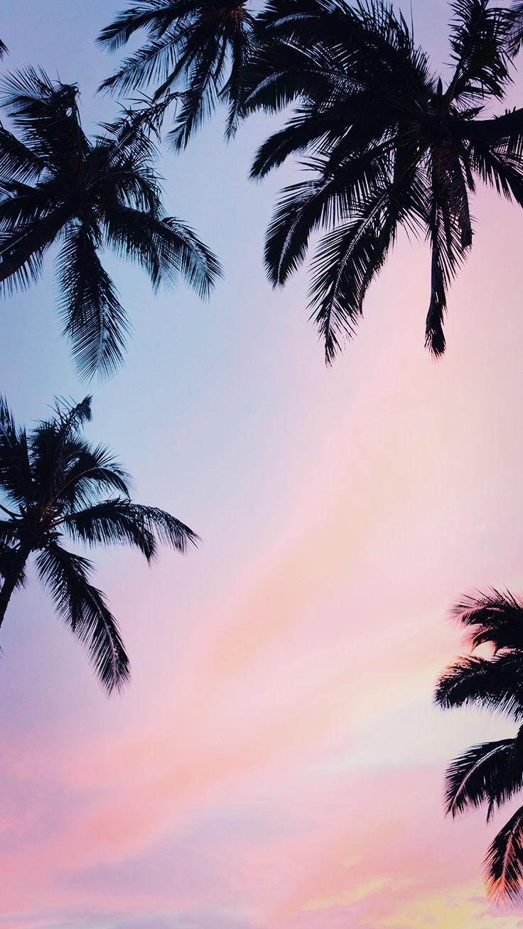 Pastel sunset wallpapers