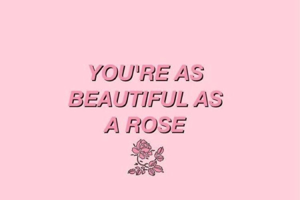 Pastel Aesthetic Rose Wallpapers Top Free Pastel Aesthetic Rose Backgrounds Wallpaperaccess