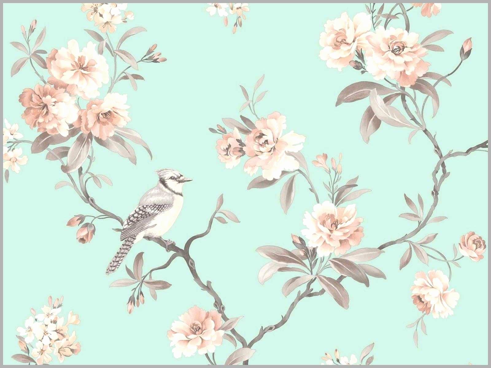 You can also upload and share your favorite boho wallpapers. Boho Computer Wallpapers 4k Hd Boho Computer Backgrounds On Wallpaperbat