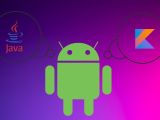 Android Developer Wallpapers 4k Hd Backgrounds On Wallpaperbat