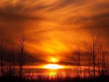 Forest Fire Wallpapers Wallpaper Cave